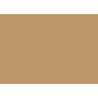 Prismacolor Premier Colored Pencils Set of 12 PC950 - Metallic Gold