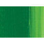 Wilson Bickford Artist Oil Paint - 37 ml Tube - Sap Green