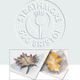 Strathmore 500 Series Drawing Bristol Sheet Packs