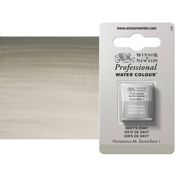 Winsor & Newton Professional Watercolor Half Pan - Davy's Grey
