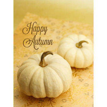 Thanksgiving Art eGift Card - White Pumpkins - electronic gift card eGift Card eGift Card
