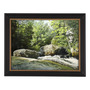 Naples Black & Gold Frames - Millbrook Collection