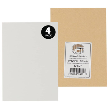 Two 5x7 Artist Canvases, Pre-Stretched Cotton Duck Double Acrylic Ges –  Bulk Buy Outlet