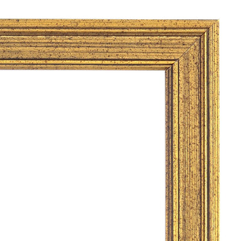 Imperial Frames Piccadilly Collection - Gold 14"x18"