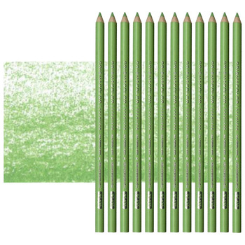 Prismacolor Premier Colored Pencils Set of 12 PC120 - Sap Green Light