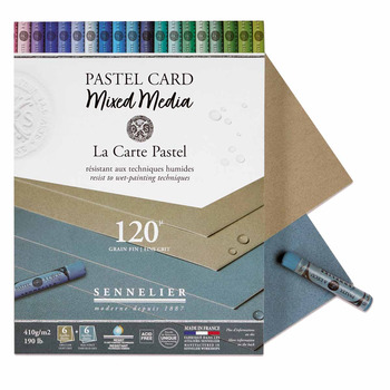 Sennelier La Carte Pastel Mixed Media Pad - Grey Shades, 9.45"x11.81" (12 Cards)