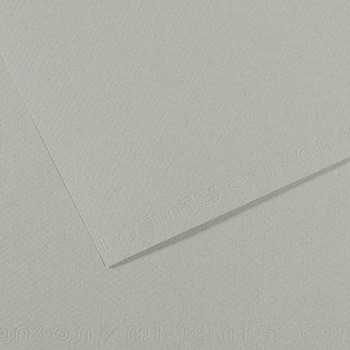 Canson Mi-Teintes Sheet 19" x 25" (Pack of 10) in 354/Sky Grey
