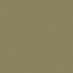 Art Spectrum Smooth Pastel Paper Pack of 10 - Olive Green - 19.5X27.5 In