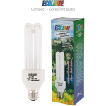 Ecolume Compact Fluorescent Bulbs