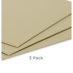 Paramount Pro-Tone Canvas Panel 3-Pack Dune 8X10