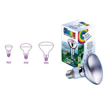 Chromalux Reflector Bulbs - Frosted
