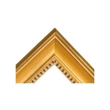 Classique 55 Frame 24x30" - Gold