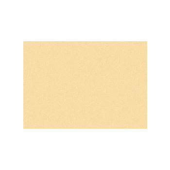 Art Spectrum Colourfix Fine Tooth Pastel & Mixed-Media Paper 19-1/2" x 27-1/2" (Pack of 10)