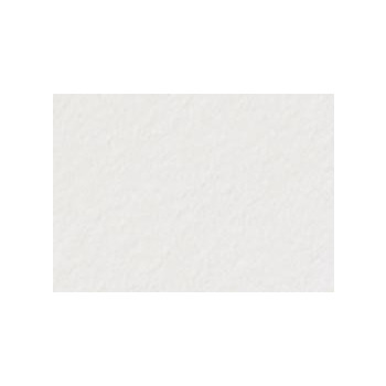 Canson Edition 250 gsm / 100-Pack 22x30" - Light Grey