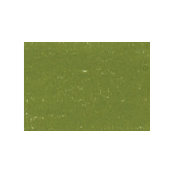 Caran d'Ache Soft Pastel Individual No. 225 - Moss Green Light