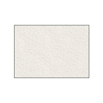 Canson Art Board Arches Rough Board 5-Pack 20x30" - Nat. Wh.