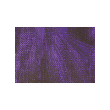 Gamblin FastMatte Alkyd Oil Colors 150 ml Tube - Dioxazine Purple