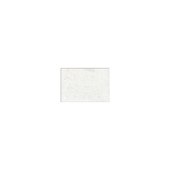 Daler-Rowney F.W. Pearlescent Acrylic Ink 6 oz Bottle - White Pearl