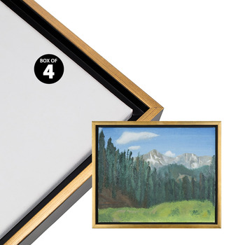 Cardinali Renewal Core Floater Frame -  Black/Antique Gold 12"x36", Open Back (Box of 4)