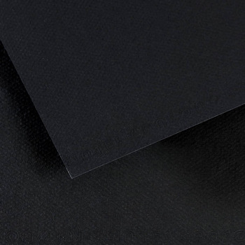 Canson Mi-Teintes Sheet 19" x 25" (Pack of 10) in 425/Black
