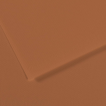 Canson Mi-Teintes Paper 10pk 19x25 in #187 Cinnamon