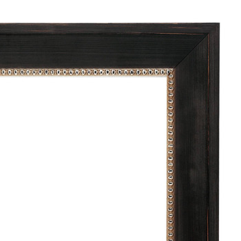 Constantine Black Frame 2-3/8" with Glass 8"x10" - Millbrook Collection