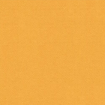 Crescent Select Matboard 32"x40", 4 Ply - Curry