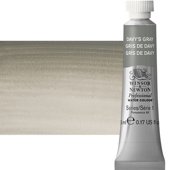 Winsor & Newton Professional Watercolor - Davy's Grey, 5ml Tube