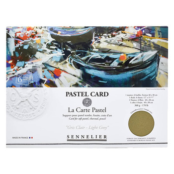 Sennelier La Carte Pochette 11.8" x 15.75" - 6 Pack, Light Grey