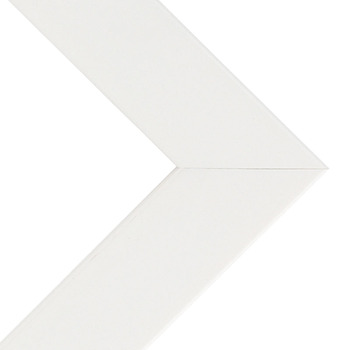Box of 4 Millbrook Cap 1.25" White Frame 22X28 w/ Acrylic