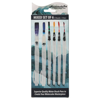 Aquastroke Pro Water Brush Pen, Mixed Set of 6