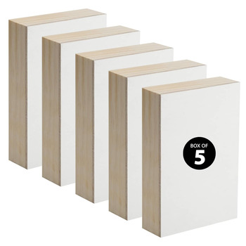 Professional Canvas Panel Box of 5 - Raphael Zinc-Free, 1-5/8" Deep 8X10