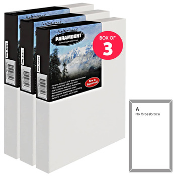 Paramount Pro Gallery Wrap, 12"x16" Stretched Canvas (Box of 3)