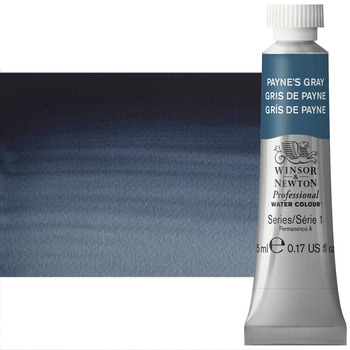 Winsor & Newton Professional Watercolor - Payne's Gray, 5ml Tube
