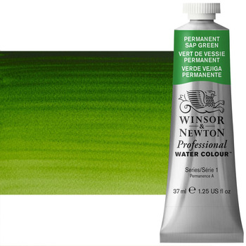Winsor & Newton Professional Watercolor - Permanent Sap Green, 37ml Tube