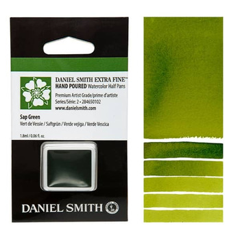 Daniel Smith Watercolor Half Pan - Sap Green