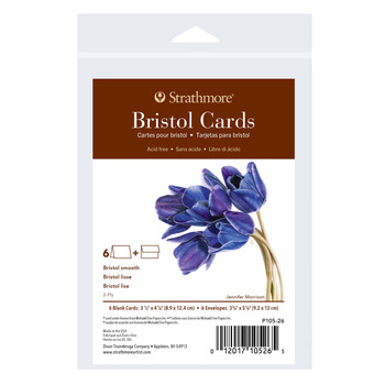 Strathmore 400 Series Card and Envelope Bristol Smooth  3.5"x4.875", Pack of 6