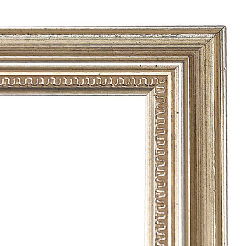 Tallahassee Silver Frame 1-1/2" with Acrylic Glazing 22"x28" - Millbrook Collection