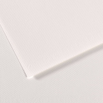 Canson Mi-Teintes Roll 59" x 11 yd in 335/White